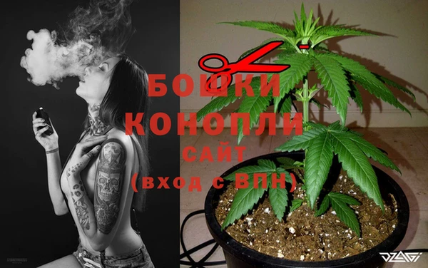 сатива Балабаново