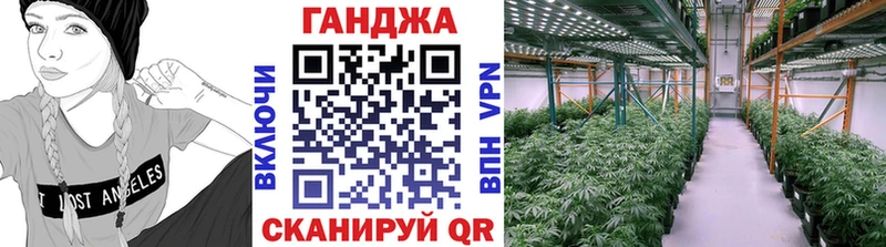 Бошки Шишки план  Краснозаводск 